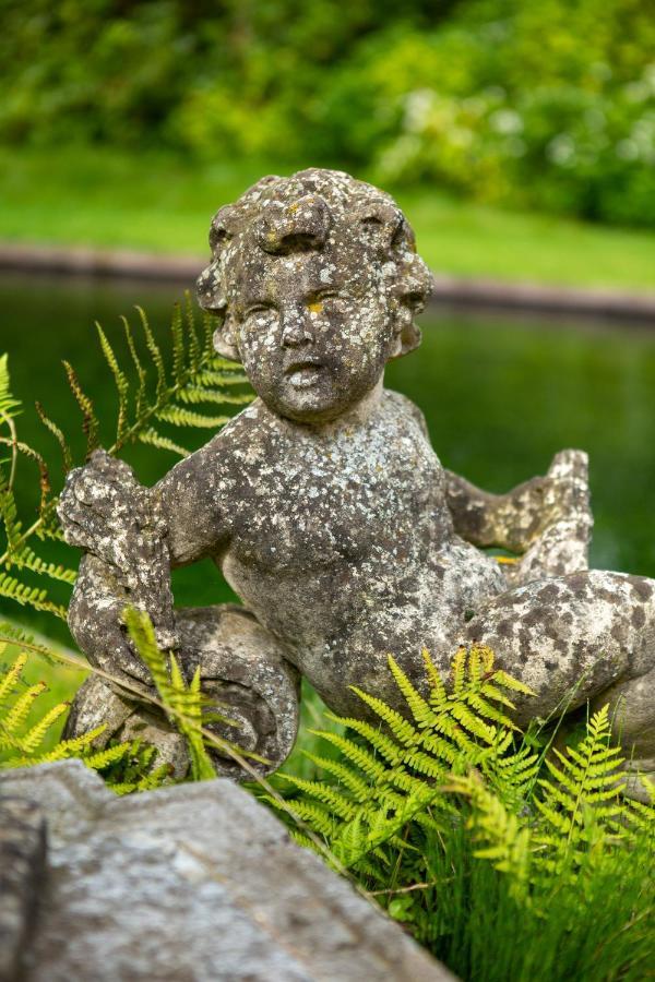 Amand'Eau - Zwemvijver, Zonneterras, Grote Tuin Sint-Amands 外观 照片